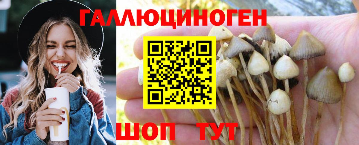 Галлюциногенные грибы мухоморы Тобольск