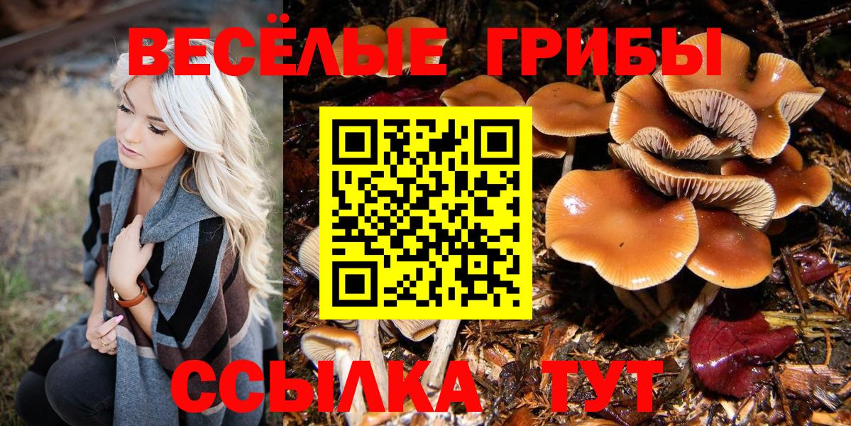 купить   Вход с VPN  Тобольск  Псилоцибиновые грибы Cubensis 